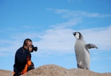 南极旅游：中国居第三大，市场亟待政策松绑