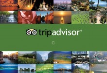 解密：TripAdvisor对Viator2亿美金收购后续