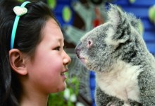 昆士兰：针对中国推出亲子旅行微电影旅游