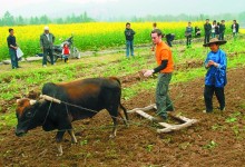 北京休闲农业和乡村旅游持续复苏