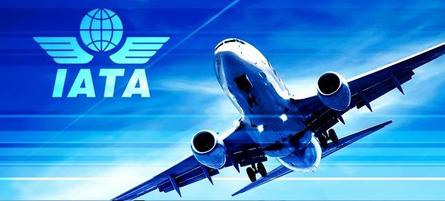 IATA：航空公司停运 全球2500万人面临失业