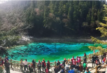 中国社科院：旅行社业务复苏仍有待时日