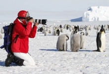 南极科考旅行火出圈 科考游：有热爱就可奔赴