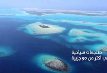 沙特旅游大臣：对推动沙中旅游合作充满信心