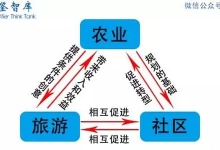 从理论到实践：全面剖析田园综合体成功模式