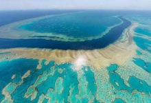 澳大利亚反对将大堡礁单独列入世界濒危遗产名录