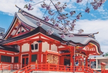 日本:将于本月试行接纳部分国家小规模旅行团