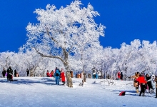 发改委：推动实施冰雪旅游发展行动计划