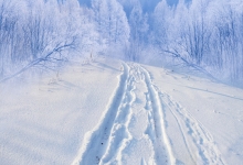 黑龙江暴雪 多个机场关闭