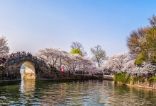 北京推出132处公园赏花片区和129项文化活动
