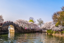 “赏花经济”催中国内地旅游市场加速“回春”