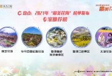 2021C盘点系列：“最美花海”案例揭晓