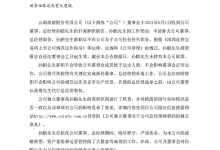 云南旅游总经理孙鹏辞任：董事长张睿代行职权