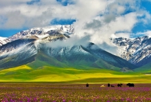 2021新疆旅游市场初探：花儿为什么这么红？
