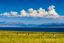 新疆：14个重点旅游和文化项目成功签约
