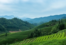 福建：批复同意洞宫山风景名胜区总体规划