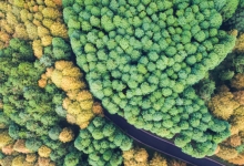 高舜礼：康养发展所应瞩目的核心竞争力