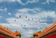 北京：拟将513处传统地名列入第二批保护名录
