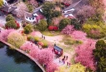 北京市五个区试点建设花园城市