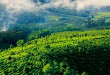 景迈山各世居民族向世界发出邀请