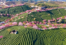 福建：滨海旅游联盟推介活动举办