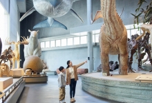 国家自然博物馆上新展 追溯“东方人类的故乡”