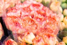 芬芳“夜经济”一路繁花燃动消费热力