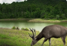 中国新增两个世界生物圈保护区