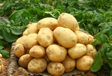 内蒙古旅游“捡秋”走红：乡村文旅需要接地气