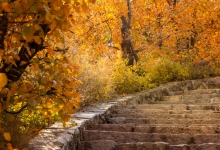 北京香山推出3条“银发漫步路线”