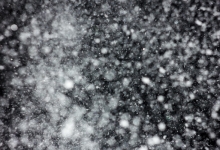 智利百内国家公园遭暴风雪袭击 五名外国游客丧生