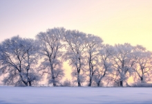 全国大众冰雪季主会场活动12月在吉林长春举办