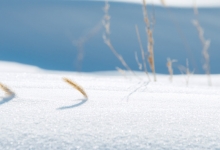 乡村旅游“冬季生活场景” 吸引年轻游客奔赴